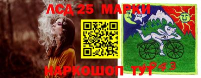 мяу мяу мука Краснознаменск