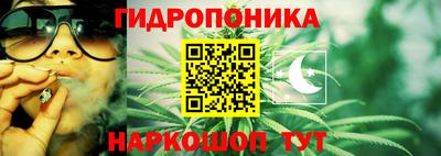 прущие крисы Краснокаменск