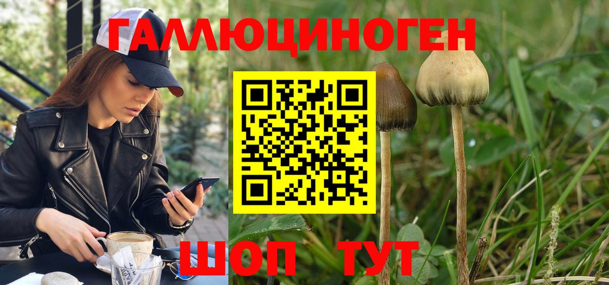 Галлюциногенные грибы мицелий Каменск-Уральский